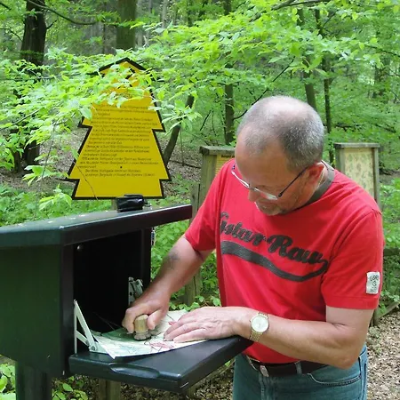 Harmonie Dom wakacyjny *