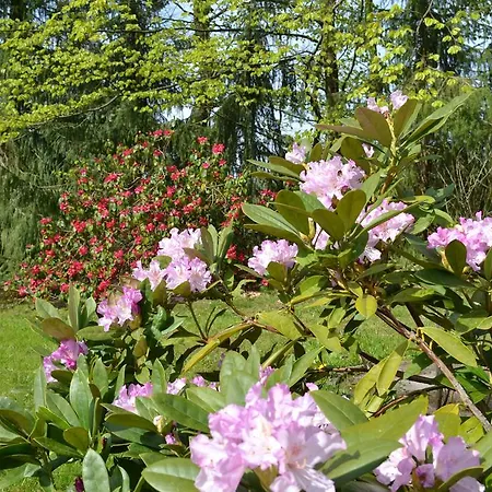 Harmonie Dom wakacyjny Harzgerode