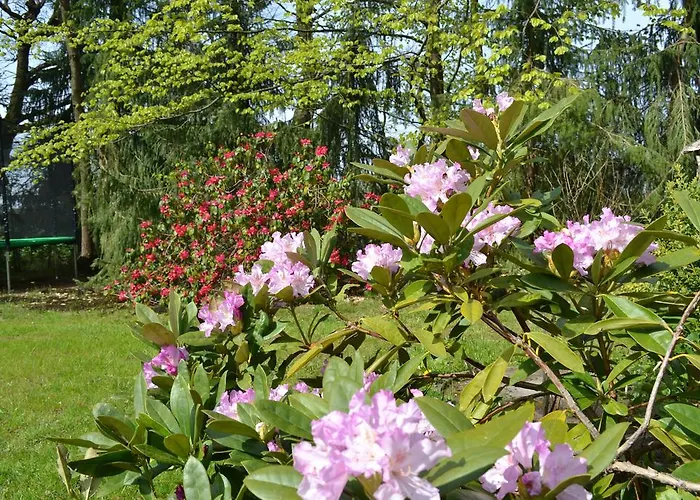 Harmonie Semesterbostad Harzgerode